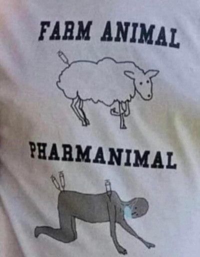 Farm Animal
