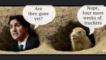 Are They Gone Yet?