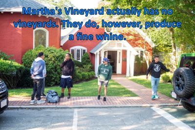A Fine Whine