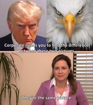 The Difference