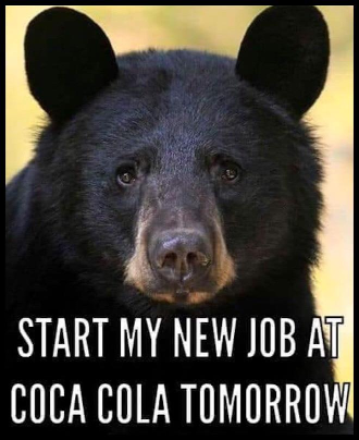 New Job at Coca Cola