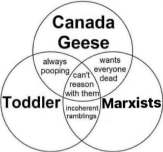 Geese, Toddlers, Marxists