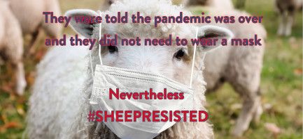 #SheepResisted