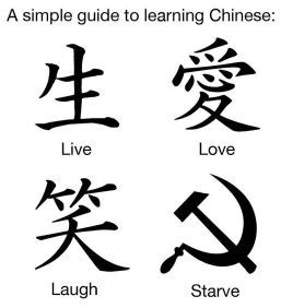 Learning Chinese