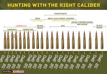 Hunting With The Right Caliber