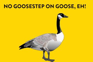 No Goosestep on Goose