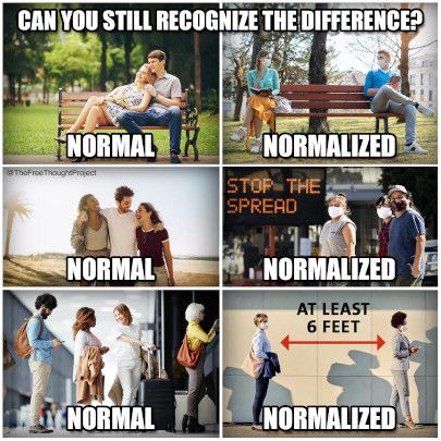 Normal vs Normalized