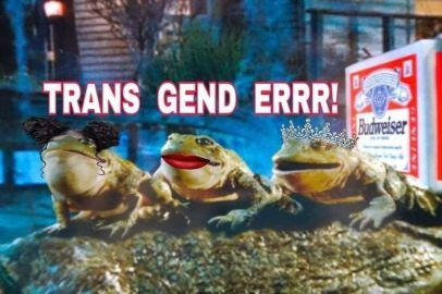 Trans Gend Errr!
