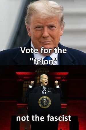 Vote for the "Felon"