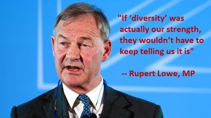 If ‘diversity’ was actually our strength